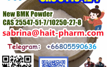 Factory supply new bmk powder