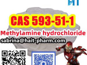 Factory supply Methylamine HCL 593-51-1