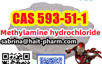 Factory supply Methylamine HCL 593-51-1
