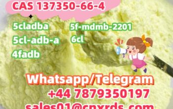 Spot goods CAS 137350-66-4