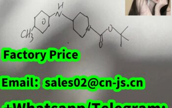 Piperidine products Top quality