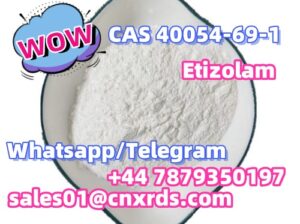 Etizolam CAS 40054-69-1