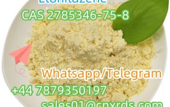 Good Price CAS 2785346-75-8 (Etonitazene)