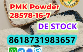 pmk powder cas 28578-16-7 pmk ethyl glycidate