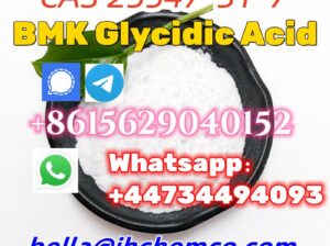 CAS 25547-51-7 BMK Glycidic Acid Safe Shipping