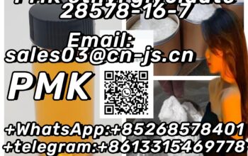 sell like hot cakes PMK ethyl glycidate 28578-16-7