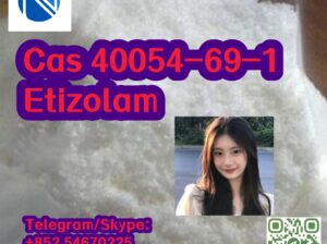 Cas 40054-69-1 Etizolam
