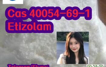 Cas 40054-69-1 Etizolam