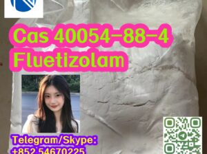 Cas 40054-88-4 Fluetizolam