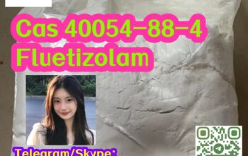 Cas 40054-88-4 Fluetizolam
