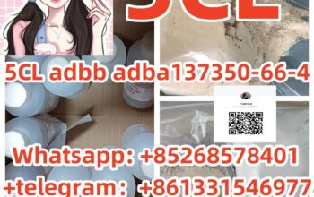 factory Outlet 5CL adbb adba137350-66-4