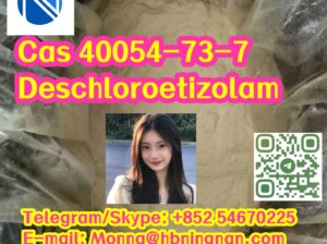 Cas 40054-73-7 Deschloroetizolam