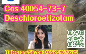 Cas 40054-73-7 Deschloroetizolam