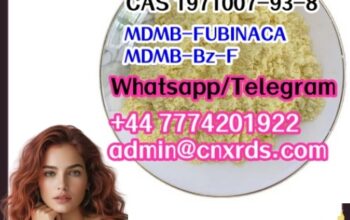 High Quality Raw Material CAS 1971007-93-8