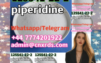 Better Piperidine CAS 125541-22-2 with High Purity