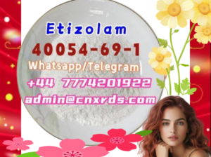 Etizolam Good quality Etizolam cas:40054-69-1