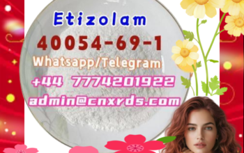Etizolam Good quality Etizolam cas:40054-69-1