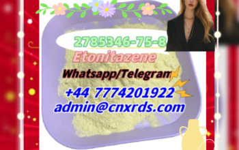 Top quality Etonitazepyne CAS:2785346-75-8