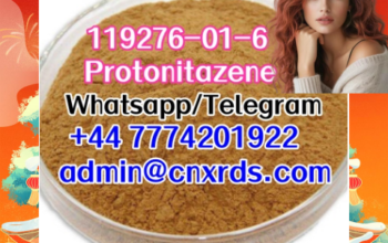 Protonitazene CAS 119276-01-6 Synthetic opioids