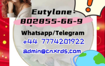 New Eutylone cas 802855-66-9 with best quality in