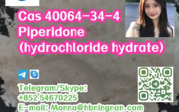Cas 40064-34-4 Piperidone (hydrochloride hydrate)