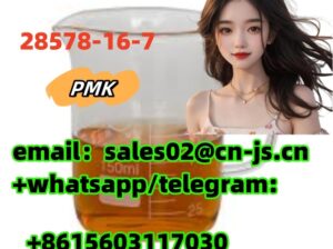 28578-16-7 PMK