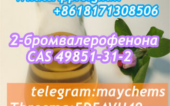 Supply 2-Bromovalerophenone cas 49851-31-2 with be