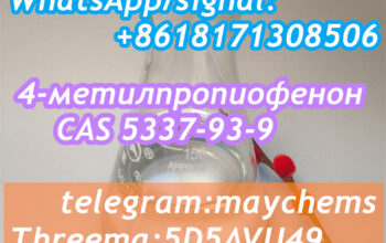 best price 4-Methylpropiophenone CAS 5337-93-9
