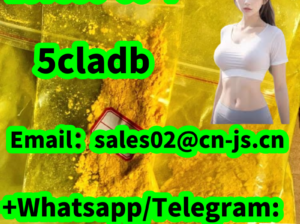 5cladb 137350-66-4 The cheapest price