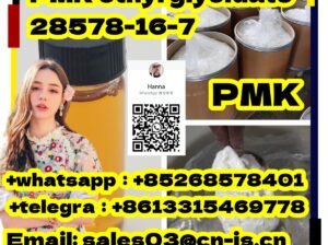 Big discounts PMK ethyl glycidate 28578-16-7