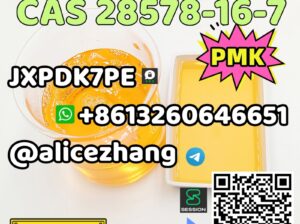 CAS 28578-16-7 PMK ethyl glycidate PMK Oil