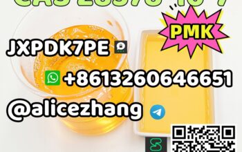 CAS 28578-16-7 PMK ethyl glycidate PMK Oil