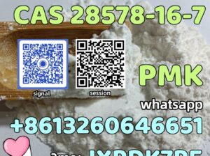 CAS 28578-16-7 PMK ethyl glycidate PMK Powder low