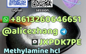 CAS 593-51-1 Methylamine hcl high quality best sel