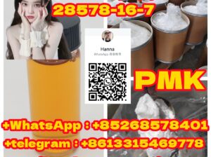 Hot Sale Product PMK ethyl glycidate 28578-16-7