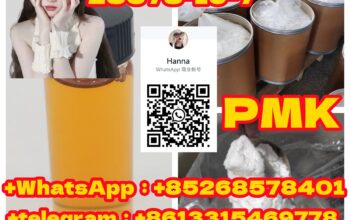 Hot Sale Product PMK ethyl glycidate 28578-16-7