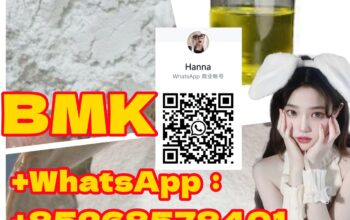 High Quality Bmk powder/oil 20320-59-6 5449-12-7