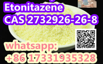 N-desethyl Etonitazene CAS 2732926-26-8