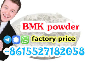 Buy Holland Stock BMK Powder CAS 5449-12-7