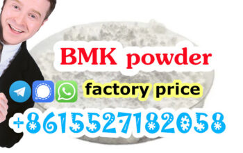 Buy Holland Stock BMK Powder CAS 5449-12-7