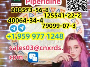 Spot goods piperidine CAS: 125541-22 / 40064-34-4