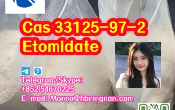 Cas 33125-97-2 Etomidate