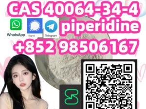 Good Price CAS 40064-34-4 (piperidine)