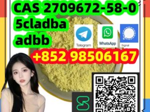 CAS 2709672-58-0fast delivery with wholesale price