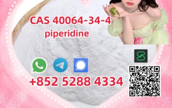 High Quality CAS 40064-34-4 piperidine