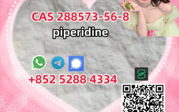 Factory supply CAS 288573-56-8 piperidine