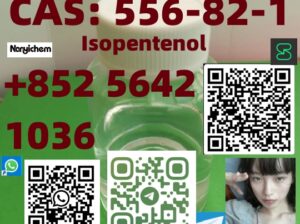 CAS: 556-82-1 Isopentenol