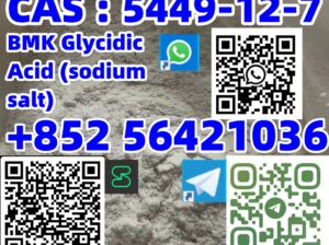 CAS : 5449-12-7 BMK Glycidic Acid (sodium salt)
