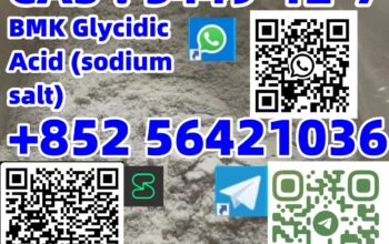 CAS : 5449-12-7 BMK Glycidic Acid (sodium salt)