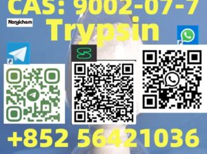 CAS: 9002-07-7 Name: Trypsin